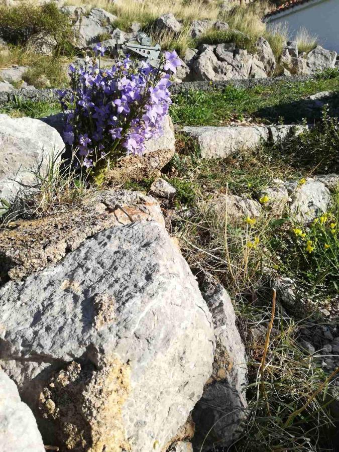Vila Grosa Sveti Juraj Dış mekan fotoğraf